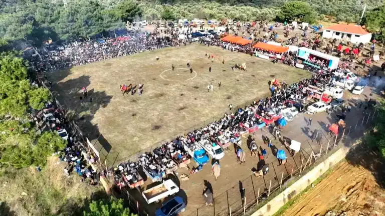 Pelitköy'de Coşkulu Deve Güreşleri!